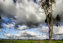 金沙国际：劳塔罗缺战，迪马尔科双响！国米拒绝爆冷，5连胜叫板AC米兰.