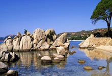 金沙国际：谁会先夺冠？盘点CBA那些还未获得总冠军的球队.